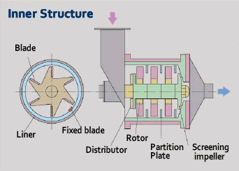 CEREN MILLER DAU Inner Structure