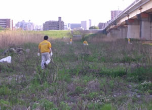 荒川土手掃除写真