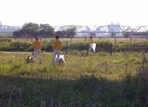 荒川土手掃除写真