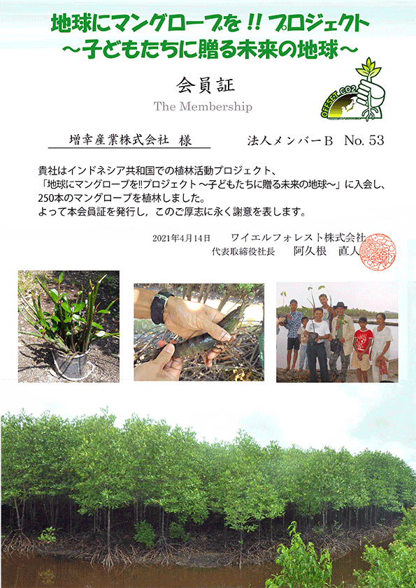 マングローブプロジェクト会員証