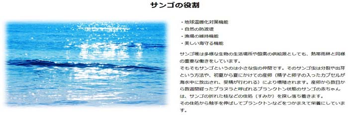 サンゴの役割