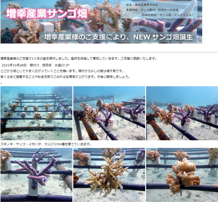増幸産業サンゴ畑