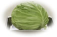 cabbage