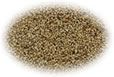 sesame seed