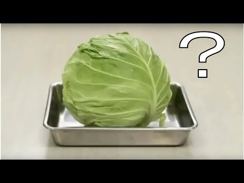 キャベツの粗粉砕