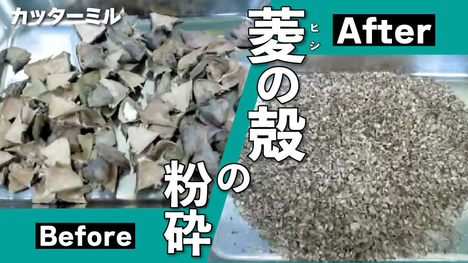 菱の殻の粉砕