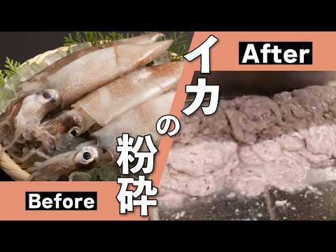 イカの粉砕